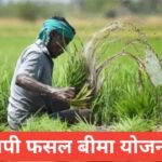 MP Fasal Bima Yojana 2026 : рдлрд╕рд▓ рдмреАрдорд╛, рдкреНрд░реАрдорд┐рдпрдо, рдХреНрд▓реЗрдо рдкреНрд░рдХреНрд░рд┐рдпрд╛ MP Fasal Bima Yojana 2026