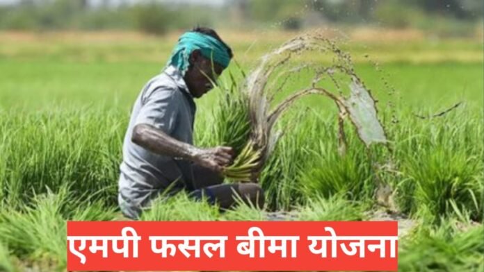 MP Fasal Bima Yojana 2026 MP Fasal Bima Yojana 2026